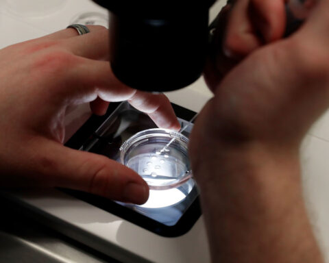 White House announces IVF drug pricing deal for ‘TrumpRx’ site