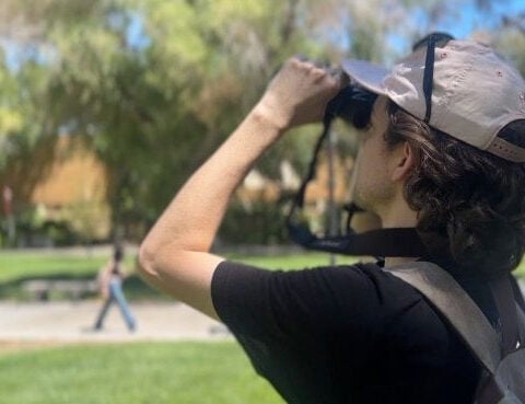 UNLV students take on a hidden bird killer — here’s what they did