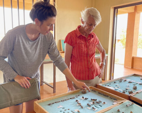 Hand and foot fossils found in Kenya for ancient human relative