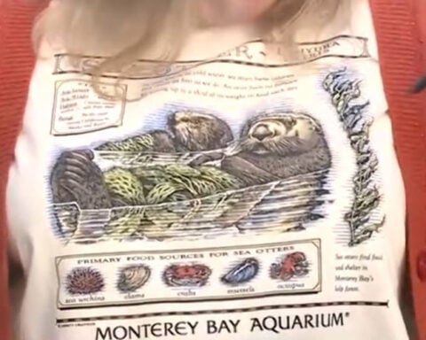 Taylor Swift-worn vintage tee drive raises $2.3 million for Monterey Bay Aquarium