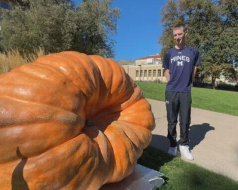Colorado School of Mines shows off 1,579 pound pumpkin grown by student