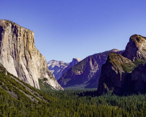 As tourists continue to visit national parks and DC, advocates and local businesses warn about long-term impact of shutdown