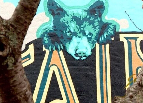 Black Mountain mural attracts crowds ahead of new art gallery's grand opening