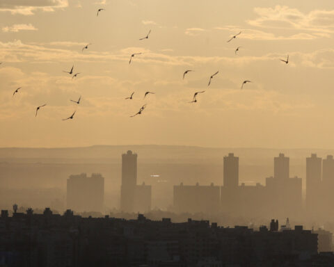 Egypt's economy seen growing 4.6% in 2025/26 as inflation eases