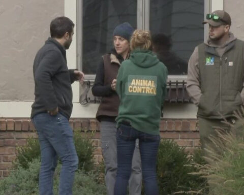 Woman bitten by coyote in New Jersey, police say