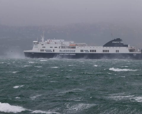 Man killed by tree branch, pedestrian blown into road as storm buffets Wellington, New Zealand