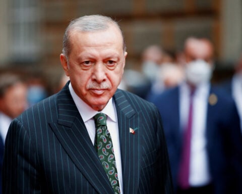 Erdogan ally calls on Turkish Cypriots to join Turkey after vote