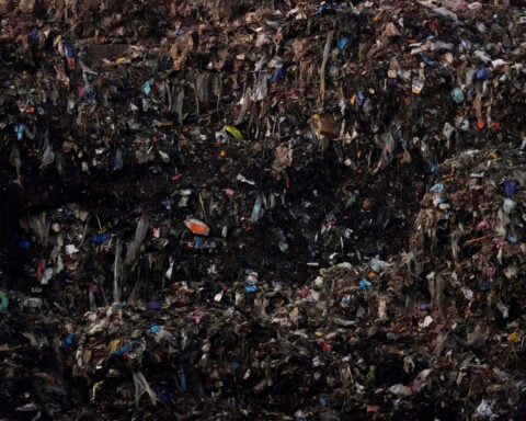 The food you toss costs you plenty and emits tons of pollution. We've got tips on how to cut down