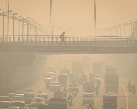 After festival of lights, New Delhi plunged into toxic darkness and world’s most polluted air