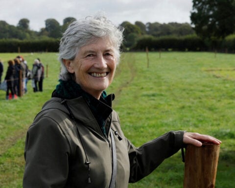 Ireland poised to elect left-wing president in rebuke to coalition