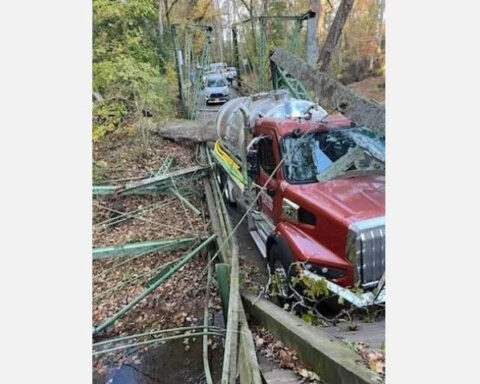 Brother says truck driver "could have been killed" after collapse of historic bridge