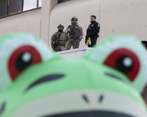 How inflatable costumes ballooned at anti-Trump rallies due to a Portland protester's frog outfit