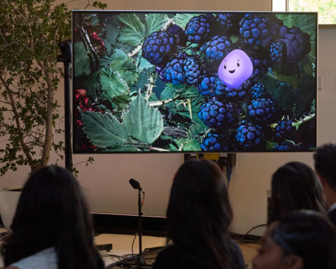 Microsoft hopes Mico succeeds where Clippy failed as tech companies warily imbue AI with personality