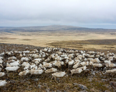 US reopens Alaska wildlife refuge to oil and gas development