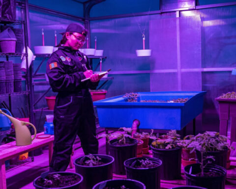 Inside Mongolia’s ‘Mars camp’: The extreme adventure that wants to turn tourists into astronauts