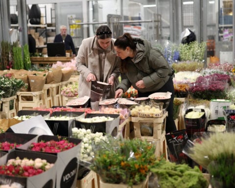 UK economy shows signs of resilience ahead of expected tax-hike budget