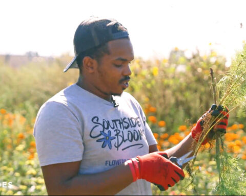 This Chicago flower farm is creating jobs for at-risk youth