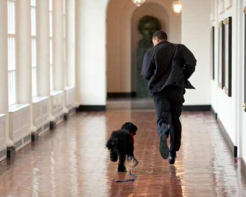 The White House’s East Wing is now demolished. Here’s what was lost