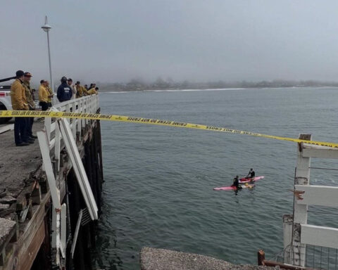 Vehicle drives off Santa Cruz wharf; crews extricate 1 person and a dog