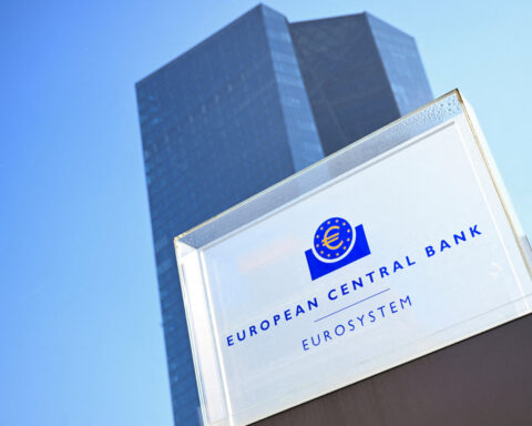 Euro zone firms optimistic but profits are falling, ECB surveys show