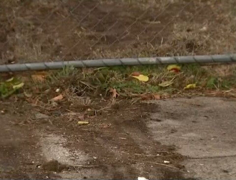 Father critically injured after car slams into home