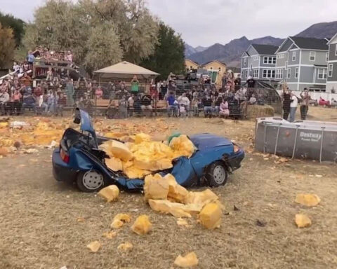 Nearly 2,000-pound pumpkin crushes car in spectacular finale to 35-year journey