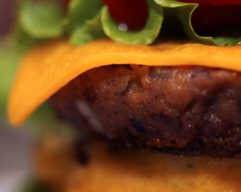 Investors managing $11.5 trillion urge food companies to diversify away from animal proteins