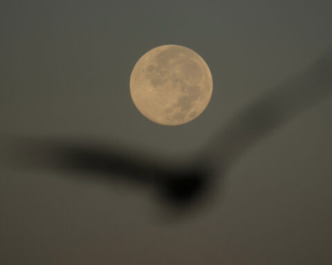 How to spot November's supermoon, the closest of the year