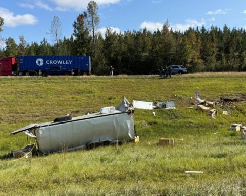 Mississippi mother kills escaped monkey fearing for her children's safety