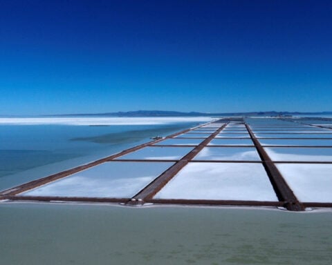 TechMet to add to portfolio, fears Europe losing battle for critical minerals