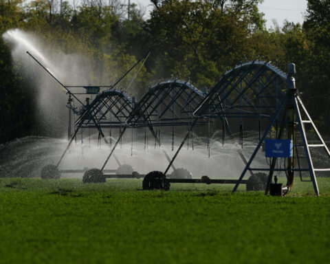 2 ways you can conserve the water used to make your food