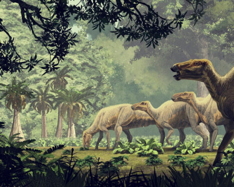 Mating injuries may lead scientists to identify dinosaurs’ sex