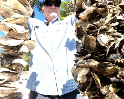 Oyster shells from Palm Beach County restaurants helping restore Lake Worth Lagoon