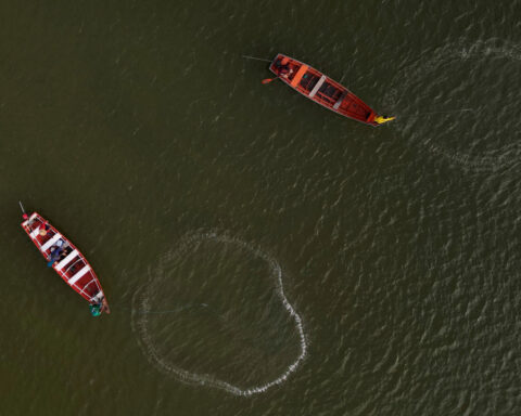 Brazil's Lula puts forward new vision for protecting the Amazon rainforest