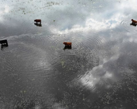 As world leaders enter climate talks, people in poverty have the most at stake