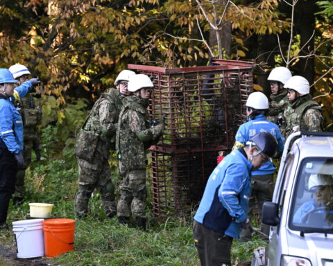 Japan deploys troops to combat deadly wave of bear attacks