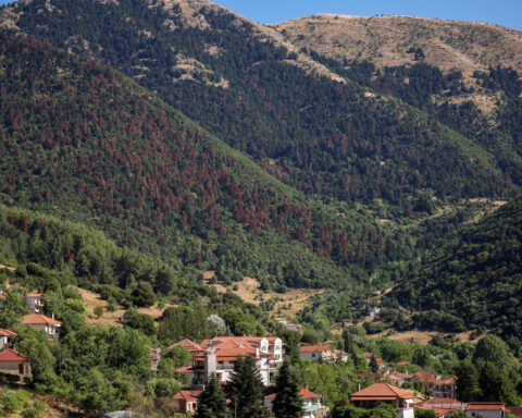 Wildfires, rising temperatures imperil northern hemisphere forests, UN says