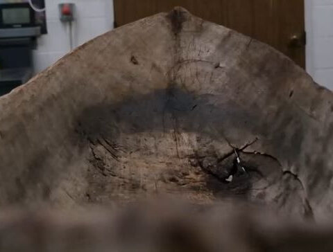 Historic canoe washed up by Hurricane Ian: ‘Very unusual’