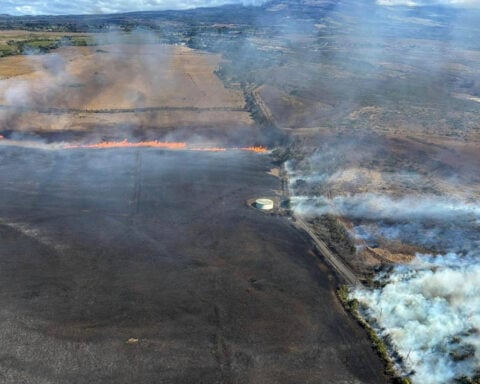 States sue Trump administration over restrictions put on FEMA emergency grants
