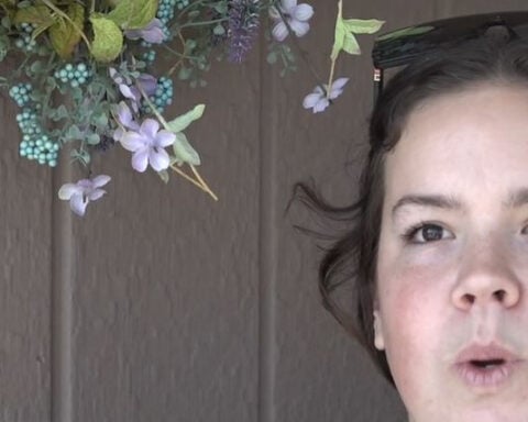 Two mountain lions caught on camera visiting senior community