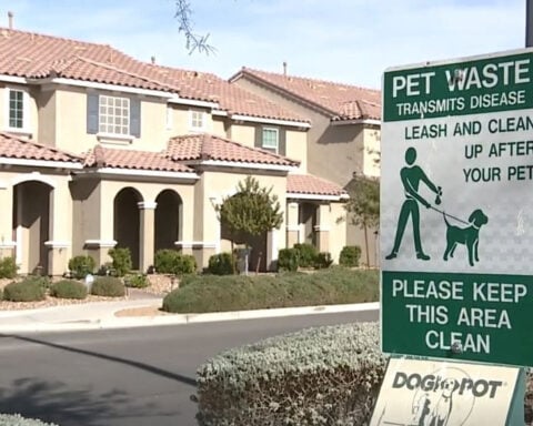 'Absolutely heartbreaking': Dog death sparks animal cruelty investigation