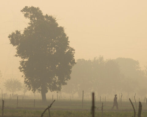 New Delhi police detain dozens in anti-pollution protests