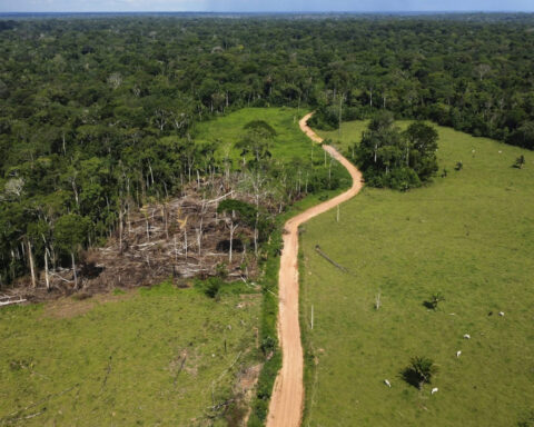 A bold new investment fund aims to channel billions into tropical forest protection – one key change can make it better