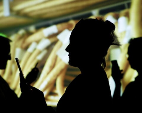 Private funding in Southeast Asia digital economy lags global level, report says