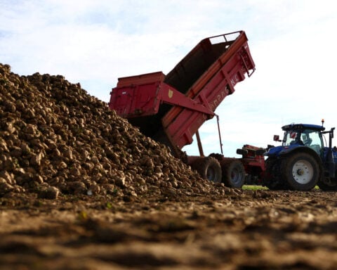 EU agrees to relax green rules in farming subsidy reform