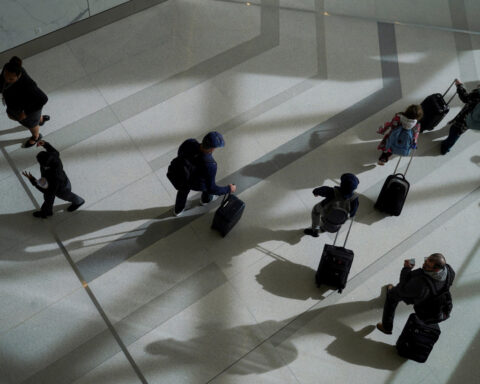 Buses and trains see resurgence amid US air travel chaos