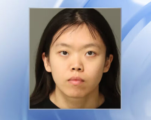 Woman faces felony charges after accused of fraud and posing as bank agent