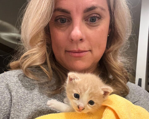 A mysterious meow from her car introduces Baylor coach Nicki Collen to a new family member