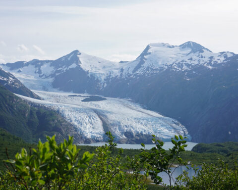 US research official departs as Trump overhauls Arctic policy