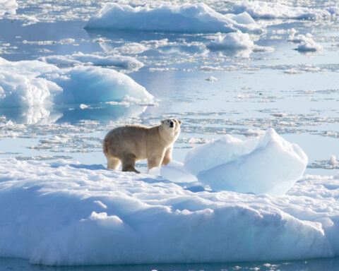 Iceland sees security risk, existential threat in Atlantic Ocean current's possible collapse